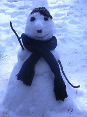 /images/Hitler_Snowman.jpg